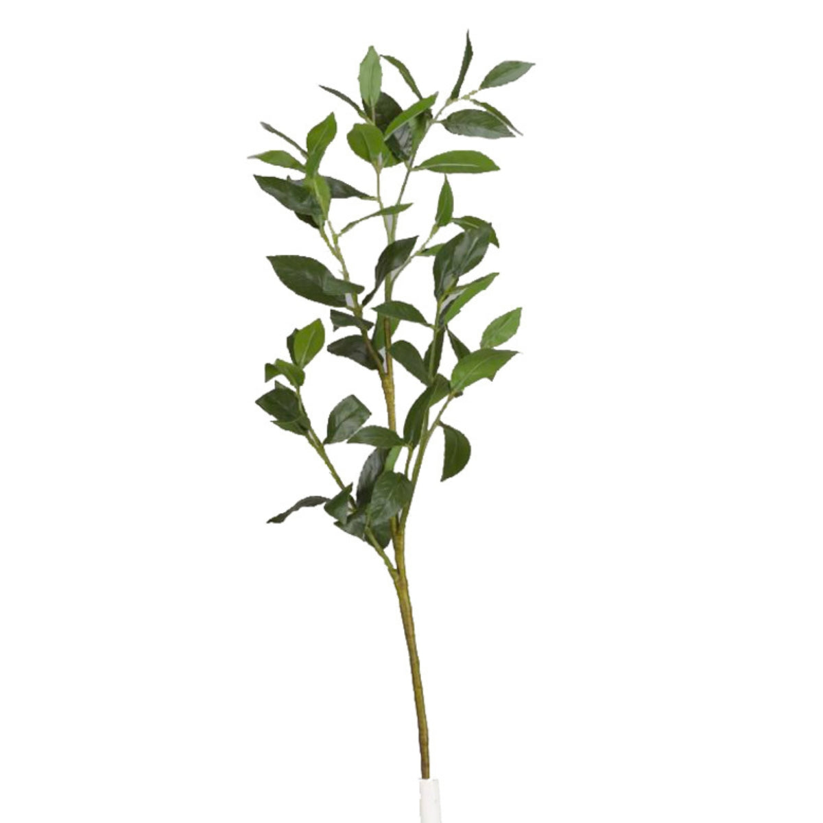 Ramas Sueltas
