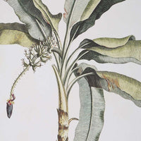 Cuadro PALM TREE