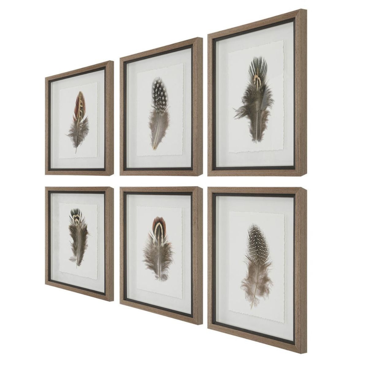 Cuadro LITTLE FEATHERS