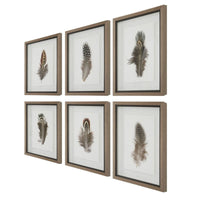 Cuadro LITTLE FEATHERS