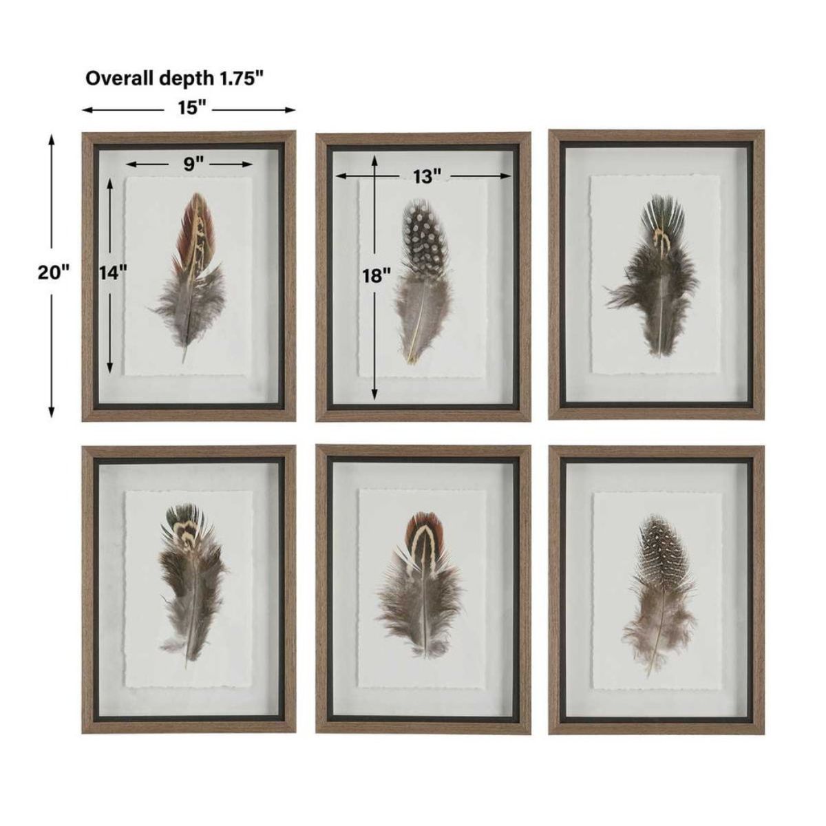 Cuadro LITTLE FEATHERS