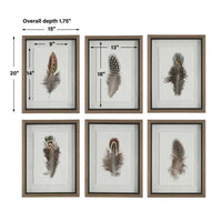 Cuadro LITTLE FEATHERS