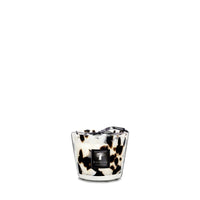Vela BLACK PEARLS