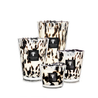 Vela BLACK PEARLS