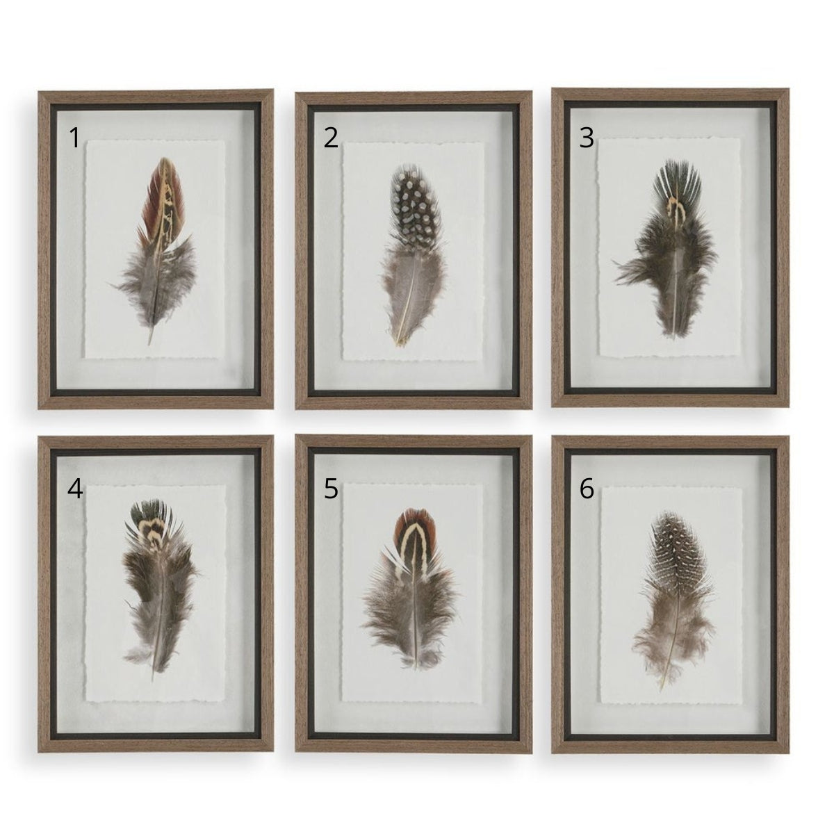 Cuadro LITTLE FEATHERS