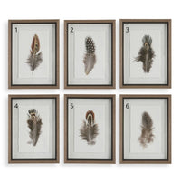 Cuadro LITTLE FEATHERS