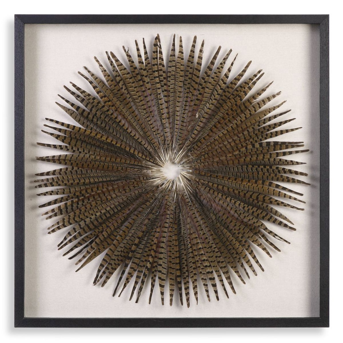 Cuadro FEATHERS BOX