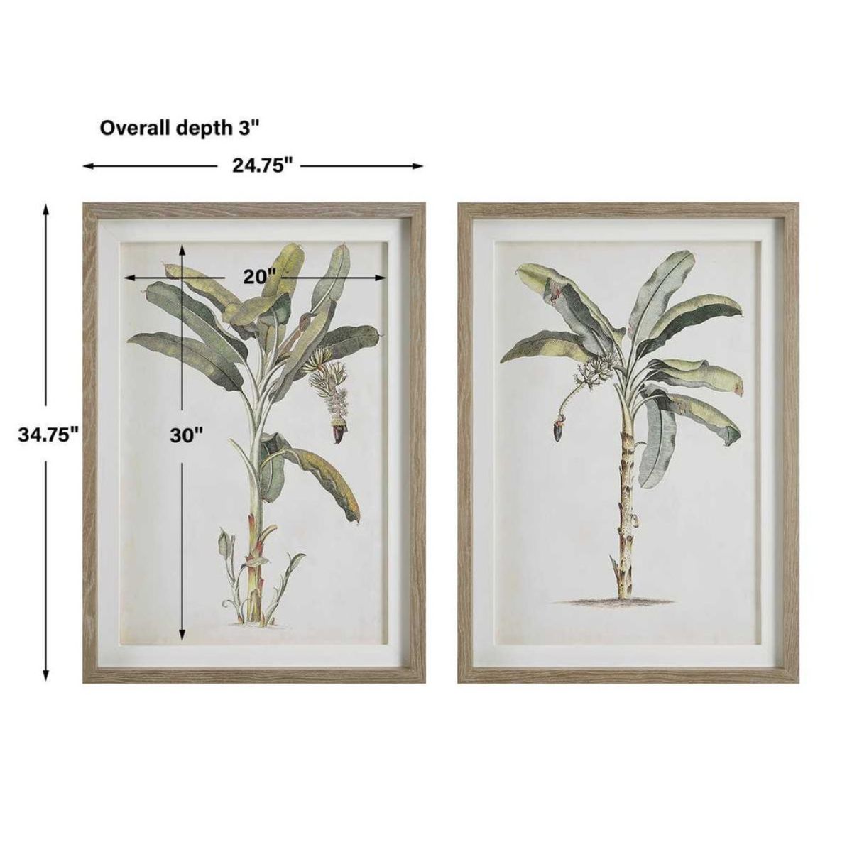 Cuadro PALM TREE