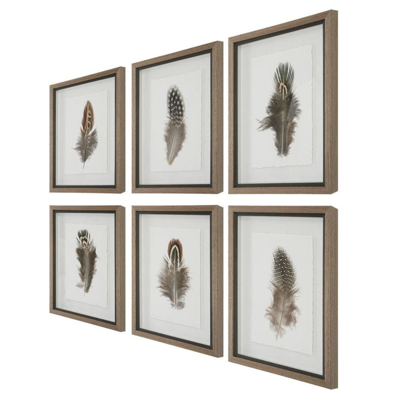 Cuadro LITTLE FEATHERS