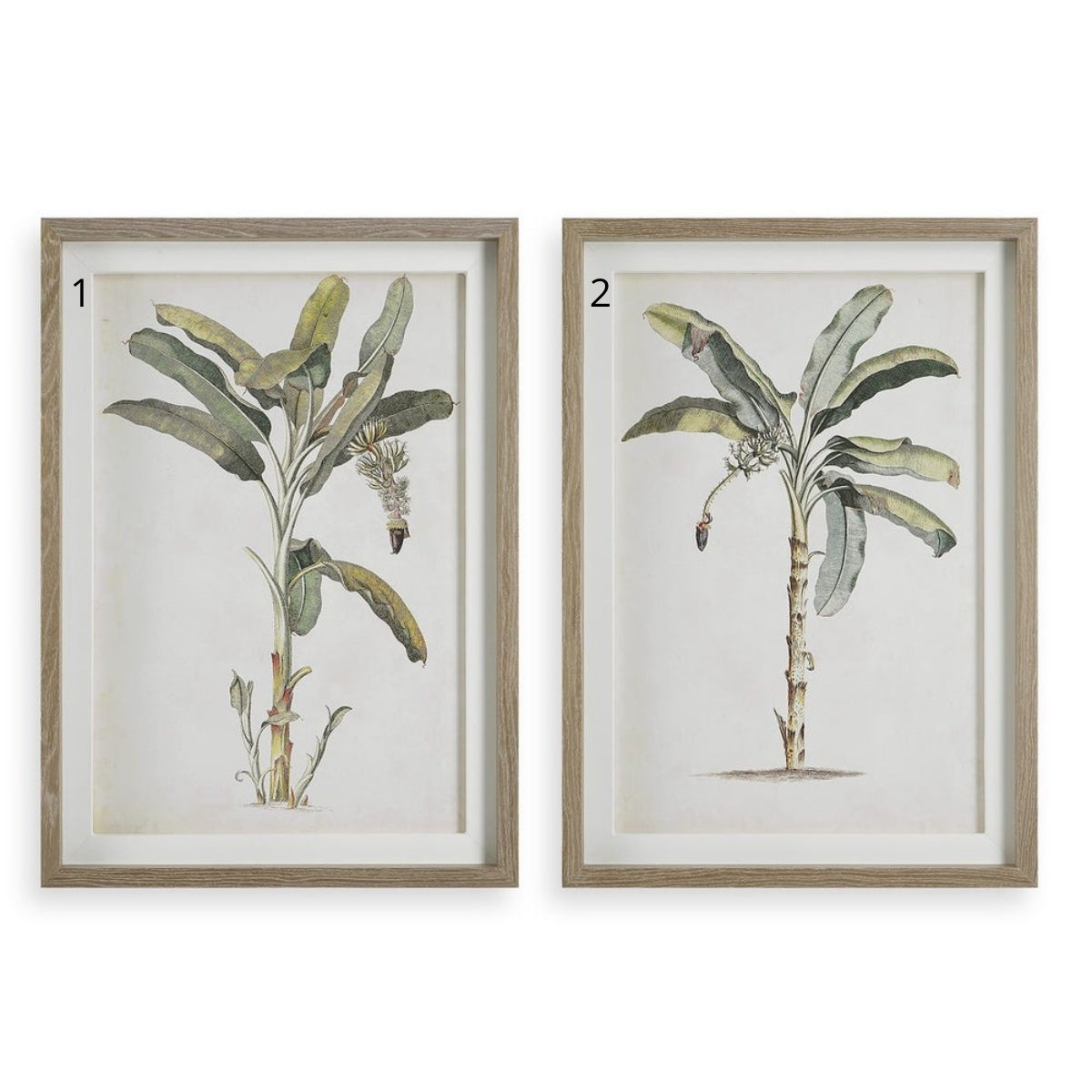 Cuadro PALM TREE